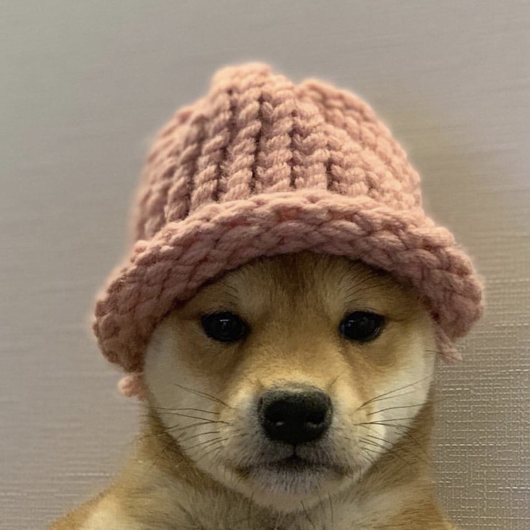 DOGWIFHAT Logo